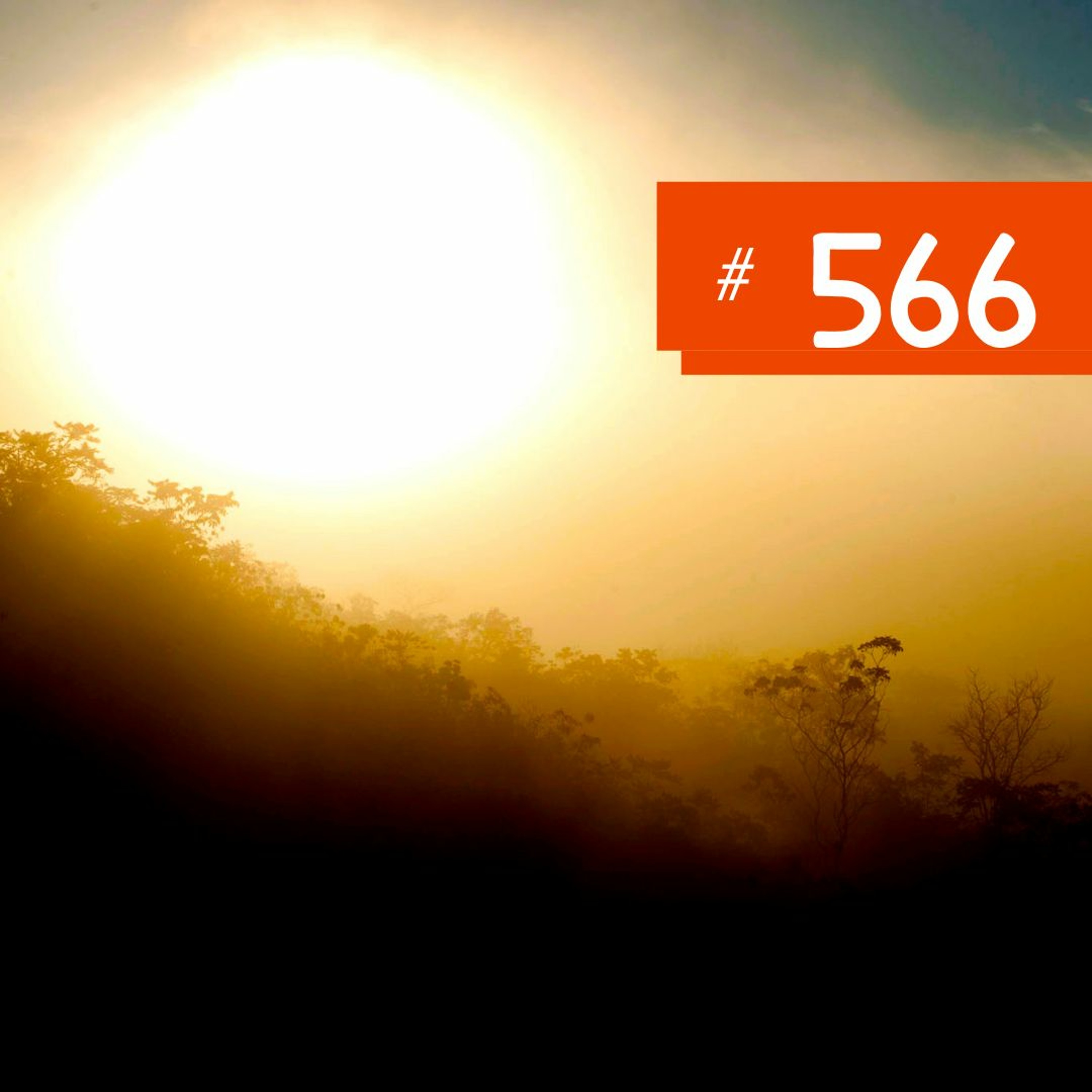 O SOL