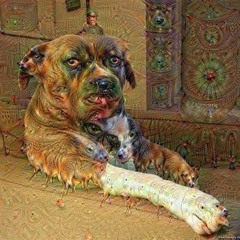 Xaxanity - ACID TRIPPIN DOG