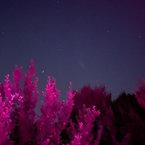 Cosmic Reality  set ep:1