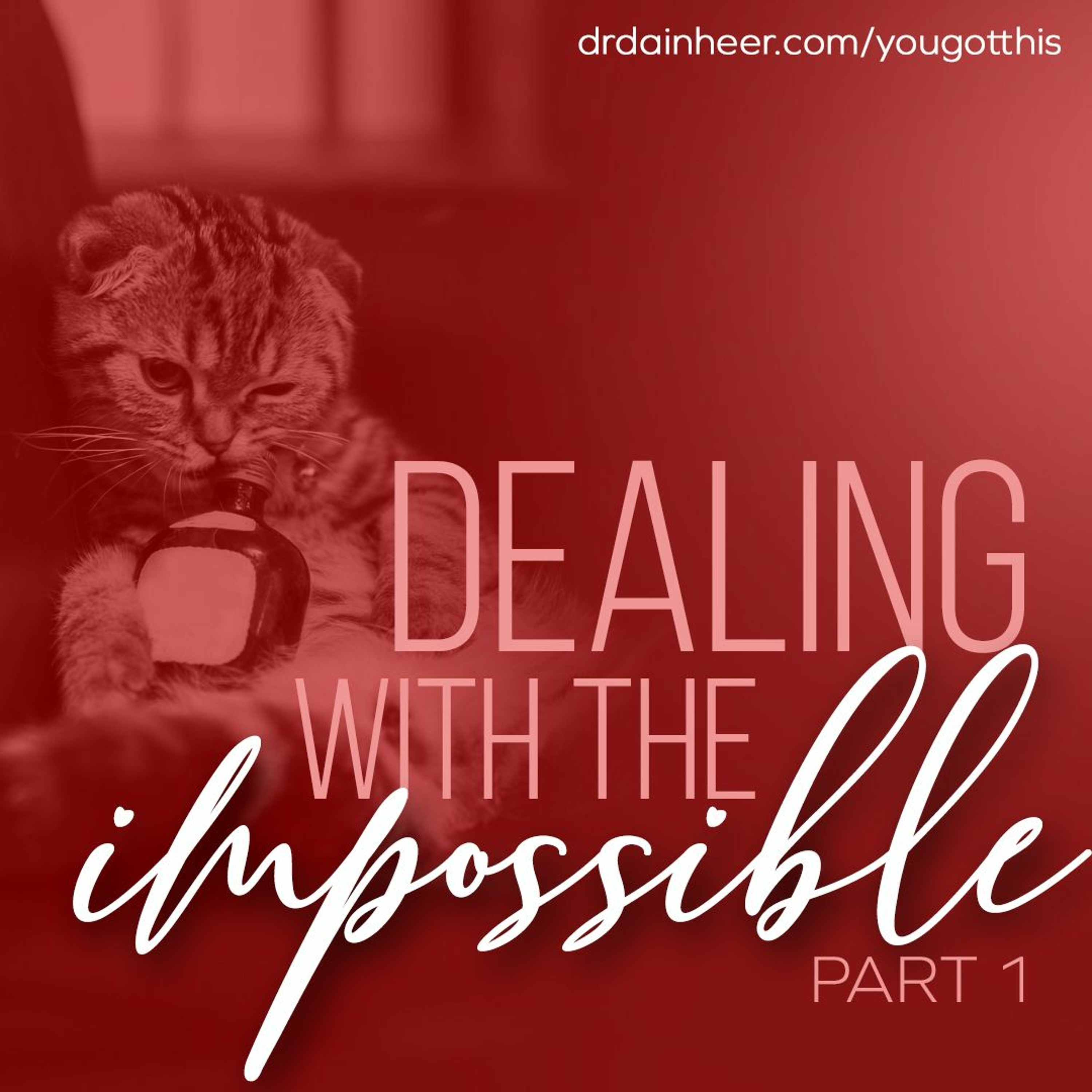 You Got This: Dealing with the Impossible episode artwork