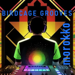 Birdcage grooves - Tech-house classics Vol. 1 - 2024