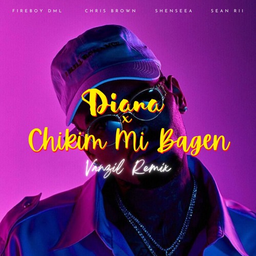 Fireboy ft Chris Brown & Shenseea, Sean Rii - Diana x Chikim Mi Bagen (Vanzil Remix)