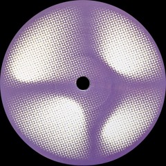 PREMIERE : Framboisier - Holodisk Data [Gestalt Records]