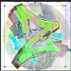 zeddster - sudo [flip v2]