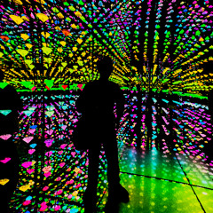 mindenki hazudik prod. halal kalora!