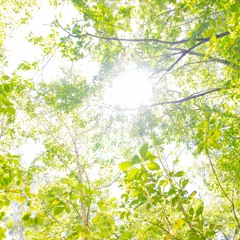 Time Of Sunny Day
