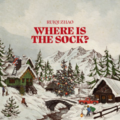 Where Is the Sock?