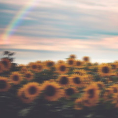 How You Feel pt.1 ft. JRose, Siatigi, Anne(Prod.by Tantu & BUDI)