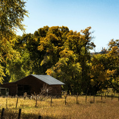 Is the "Woke Right" Really Woke? | OnlySubs with James Lindsay, Ep. 142