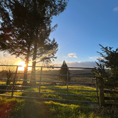 Chris Baker Sanctuary Original Mix