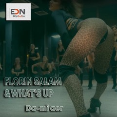 FLORIN SALAM & WHAT'S UP - Da - Mi Aer (EDN Remix)