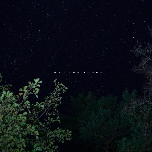 Anna B May - Into The Woods (lost.empathy Remix)