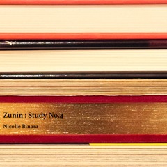 Study No. IV