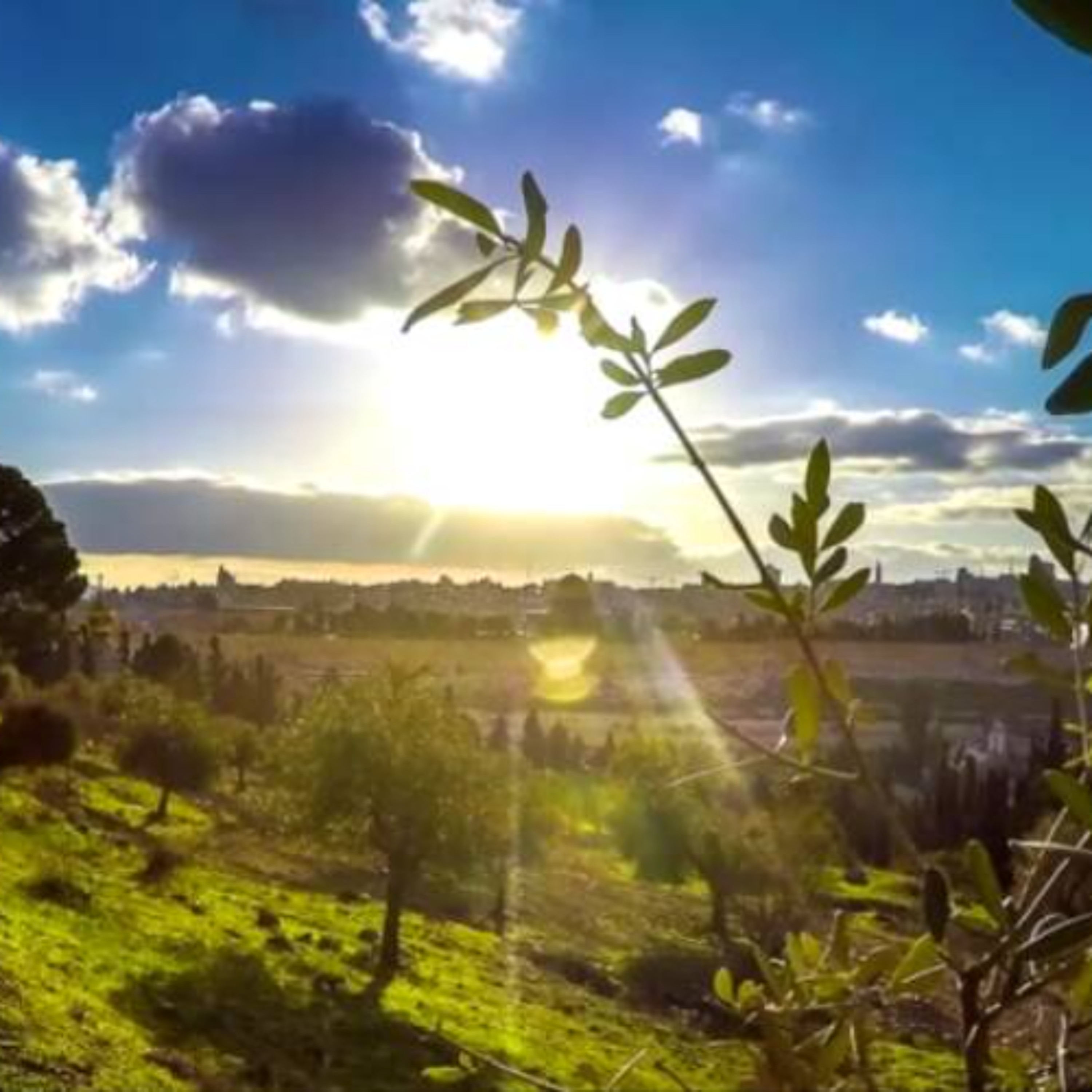 Holy People, Holy Land (Acharei Mot-Kedoshim, Covenant & Conversation)