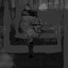 ···☾··· ŋemprεss ⁾⁾⁾