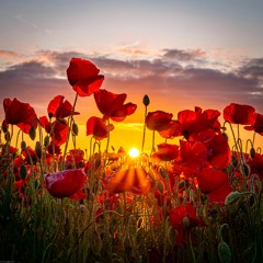 taylor swift - the great war (cover)