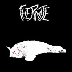 Milla-kissan hautajaiset