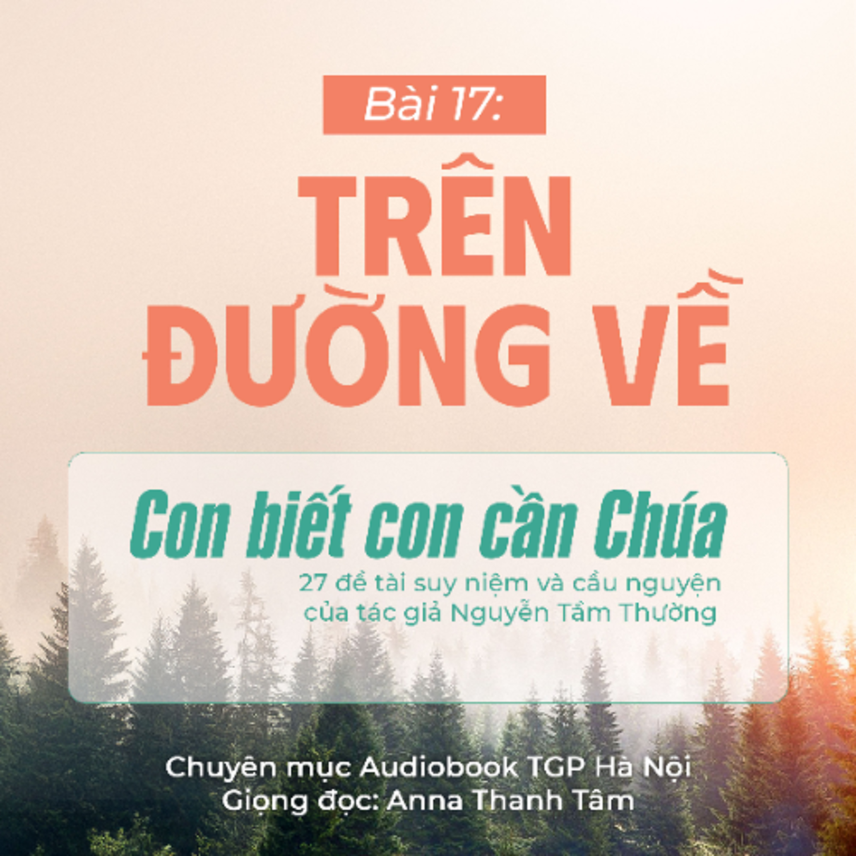 #17 Trên đường về || Con biết con cần Chúa || Tác giả Nguyễn Tầm Thường episode artwork