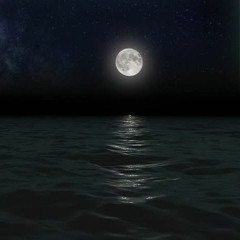 Fish And Moon feat. Rudeen (Ikan Dan Bulan Remix)
