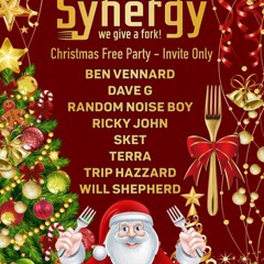 synergy christmas party