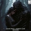 Download Video: David Fritz - Forest Love (Jose Dicaro Remix)