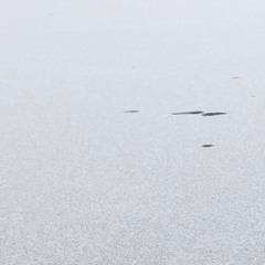 Nearer Each Day (Test Ver.)