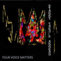 YOUR VOICE MATTERS INSTRUMENTAL PROPOSAL  FOR SING ANY FORM OF  VOCAL / REVENUE  SPLIT PROJECTS /