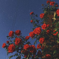 ~ 𝕒𝕖𝕤𝕥𝕙𝕖𝕥𝕚𝕔