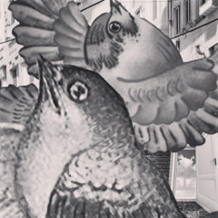 Freedomic
