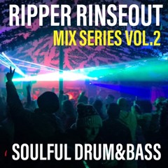 RIPPER RINSEOUT MIX SERIES VOL.2