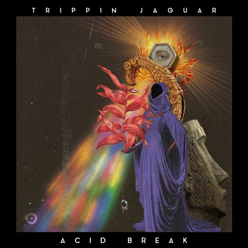 PREMIERE | Trippin Jaguar - Acid Break [Random Collective] 2021