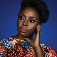 Sorellanza 47 Chimamanda Ngozi Adichie dal libro "Dovremmo essere tutti femministi"