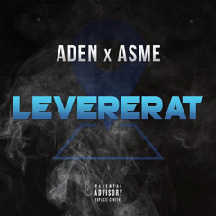 aden & asme levererat