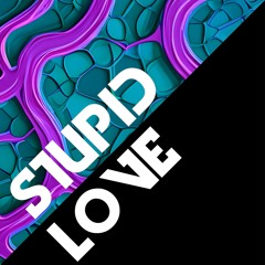 [ HTK06 ] Stanley Hottek - Stupid Love