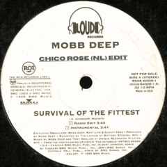Mobb Deep - Survival Of The Fittest (Chico Rose (NL) Edit)
