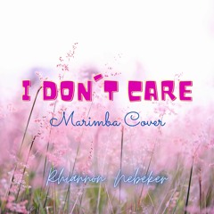 I DON'T CARE   Marimba Cover