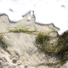 lowtide (prod. onlywoke)