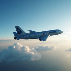 Flight