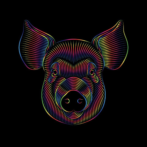 Piggy Boppin 🐖 Vol. 4