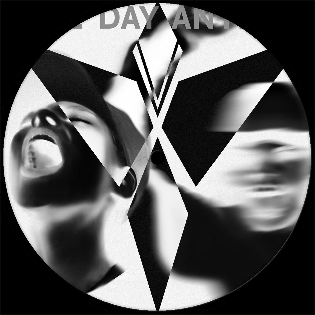 Skrillex&Boys Noize Fine Day Anthemレコード Fine Day Anthem (Extended Mix) | Skrillex, Boys Noize | Boys Noize