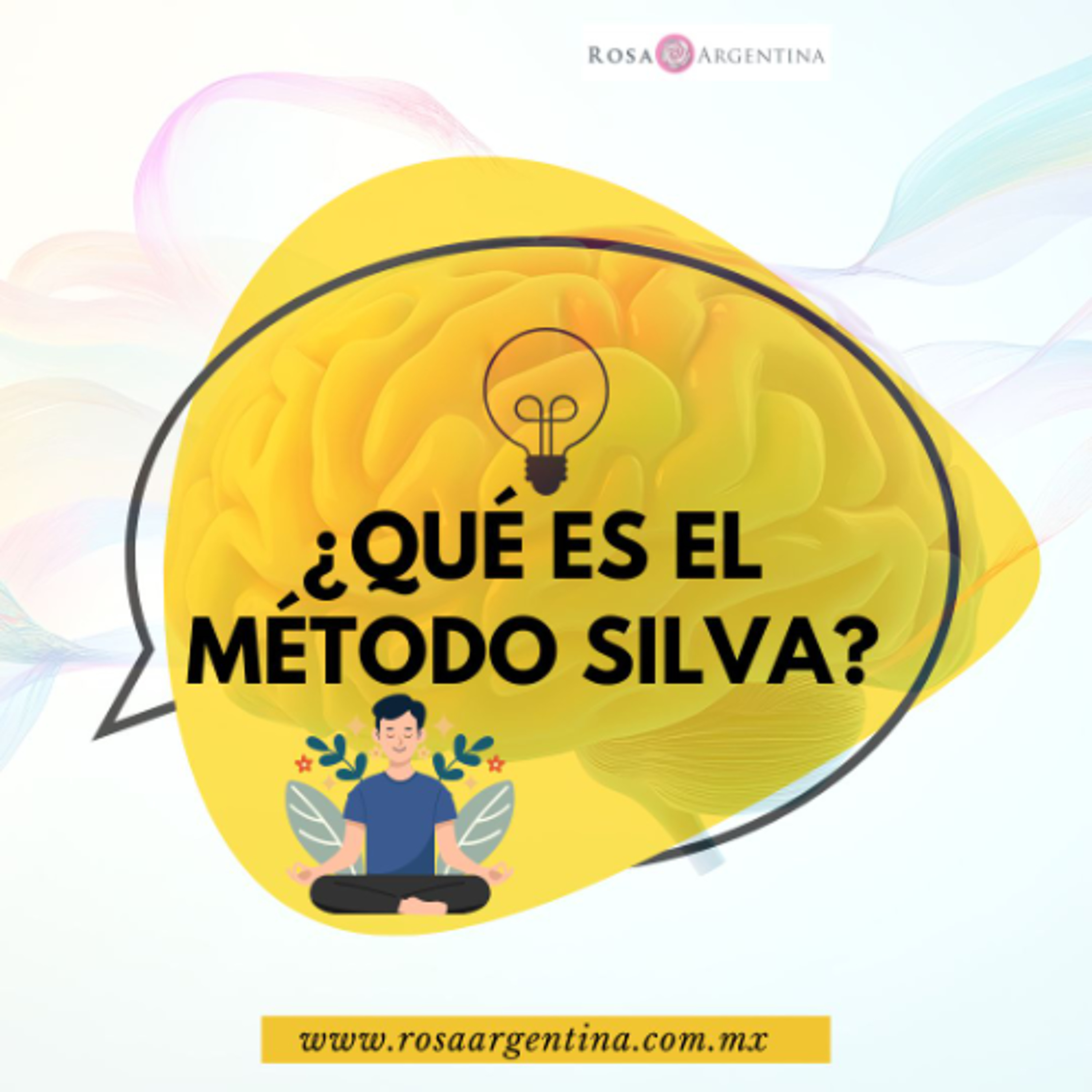 ¿QUÉ ES EL MÉTODO SILVA?