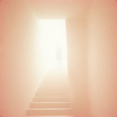 SLT Collective - Dear Friend