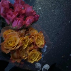 F-C-G-D-A and E 🎶 p. 3T4