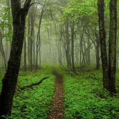 Vrang Boy - Noos (Kevin Bikoy Remix)(2016)