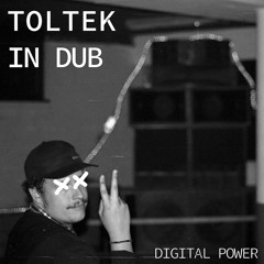 TOLTEK - TOLTEK IN DUB  (Digital Power Style)