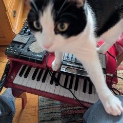 Jamuary4 - Stylophoning it in