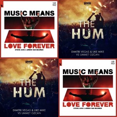 Music Means Love Forever vs. The Hum (RITCHY Mashup) [FREE DOWNLOAD]