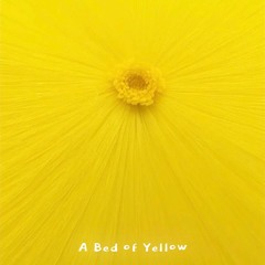 A Bed of Yellow