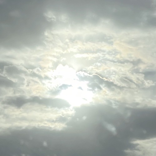 tW0_B4d_f0R13gn_H03s_fR335Ty13