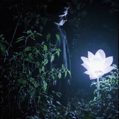 nocturnal bloom